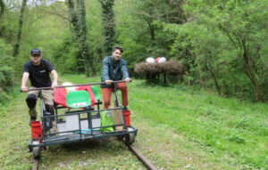 découvrez le vélorail de la ferté-gaucher : une balade insolite en famille ou entre amis sur d’anciennes voies ferrées, à travers la campagne de seine-et-marne. réservez votre expérience nature et ludique !
